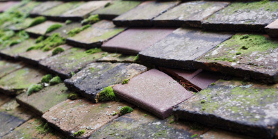 St Fagans roof repair costs